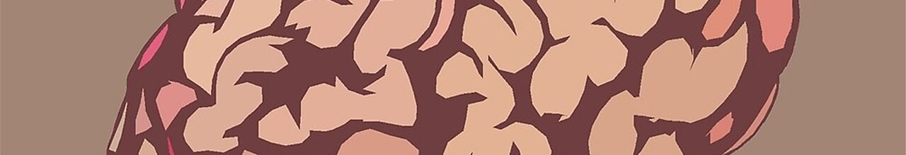Bild von Cassia P. auf Pixabay