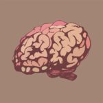 Di, 13.5.25 | Neurochirurgie (Dr. med. A. Bani)