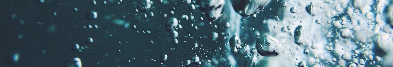 Bild von Pexels auf Pixabay